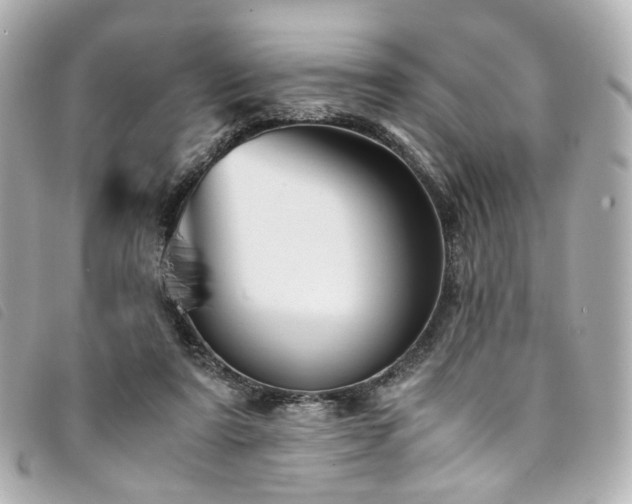 X0000094220307200710261235