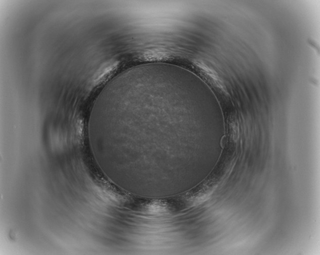 X0000094220308200710261235