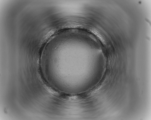 X0000094220309200710261235