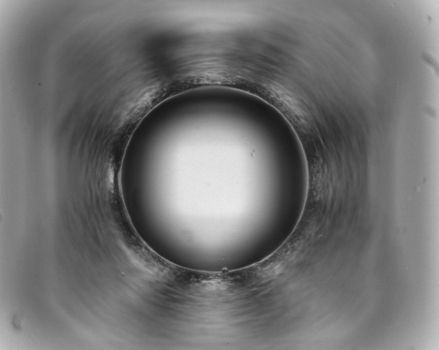 X0000094220310200710261235