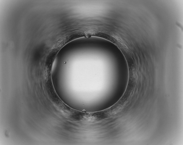 X0000094220311200710261235