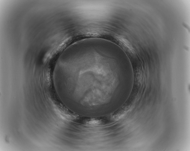 X0000094220312200710261235