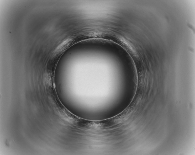 X0000094220313200710261235