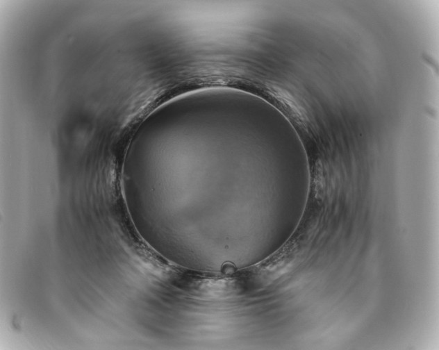 X0000094220314200710261235