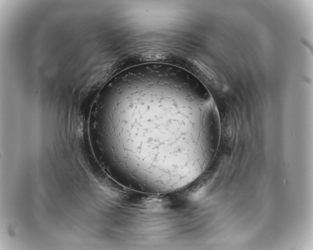 X0000094220315200710261235