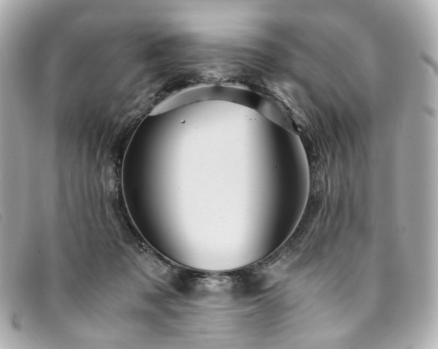 X0000094220317200710261235