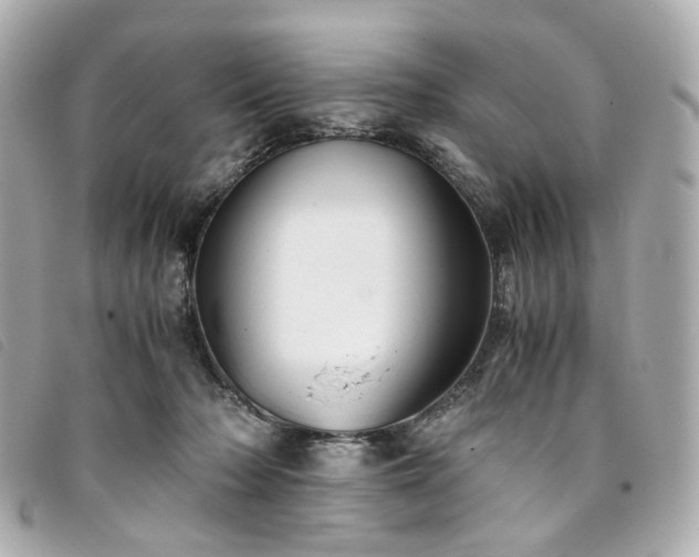 X0000094220318200710261235