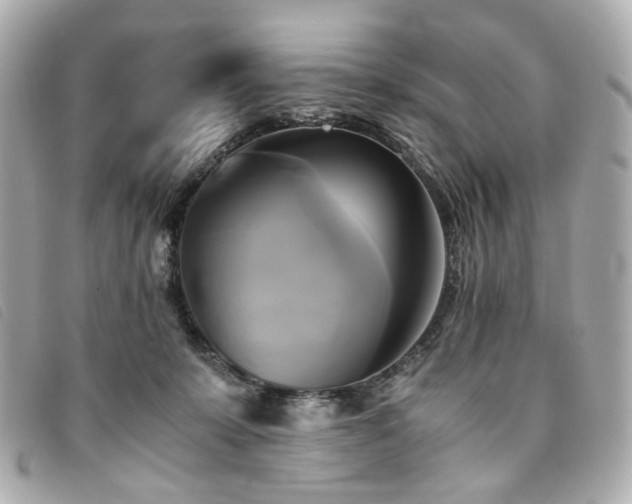 X0000094220319200710261235