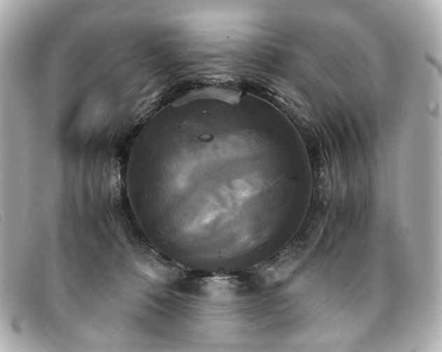 X0000094220320200710261235