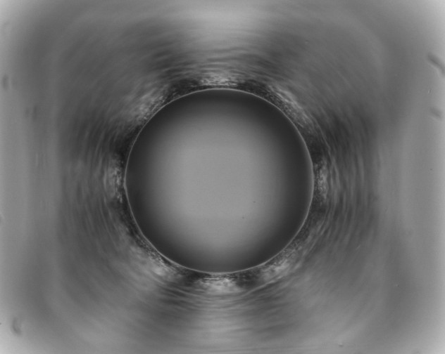 X0000094220322200710261235