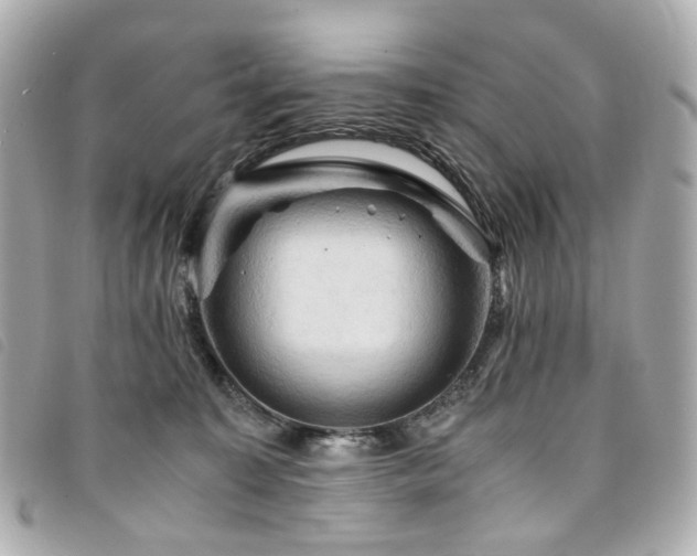 X0000094220323200710261235