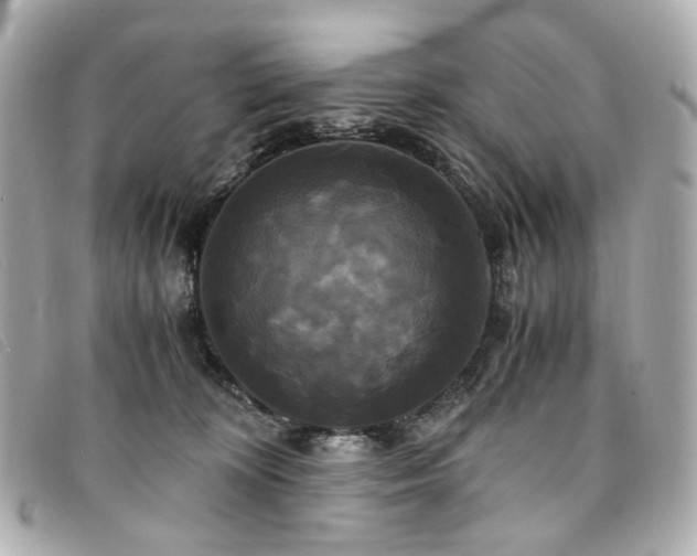 X0000094220324200710261235