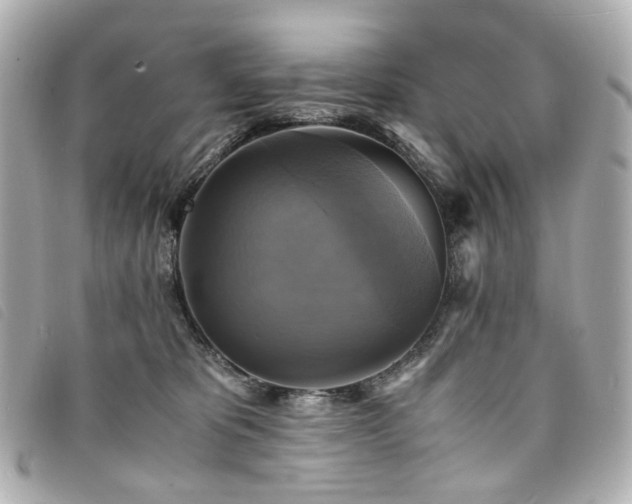 X0000094220325200710261235