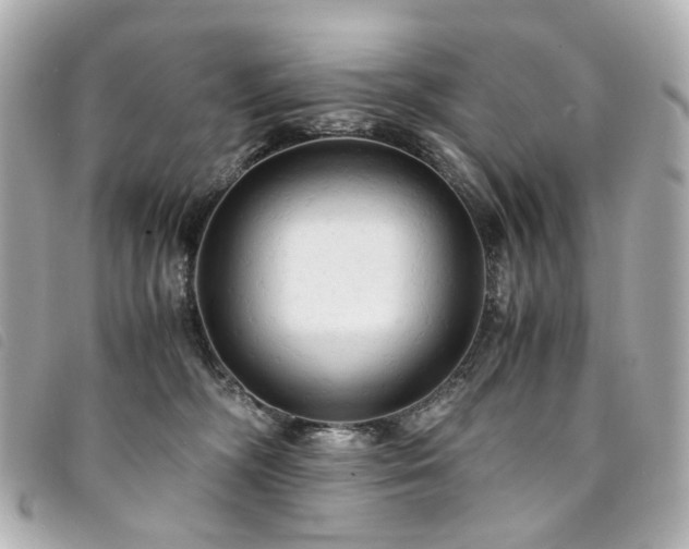 X0000094220326200710261235