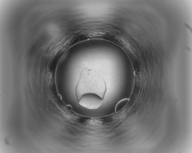 X0000094220327200710261235