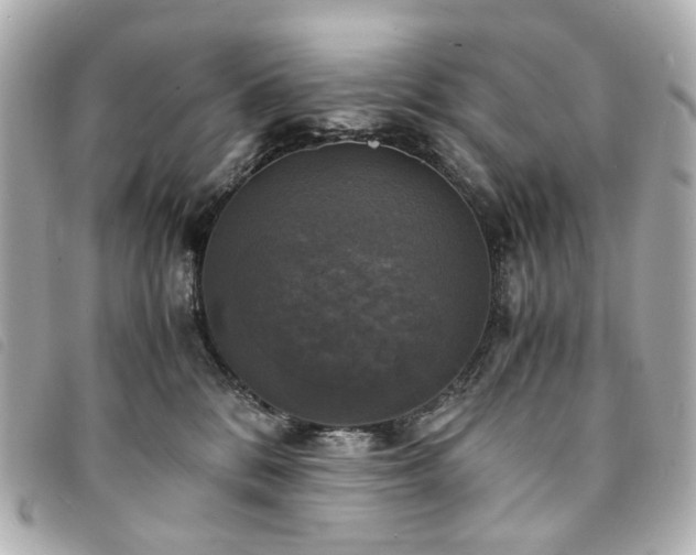 X0000094220328200710261235