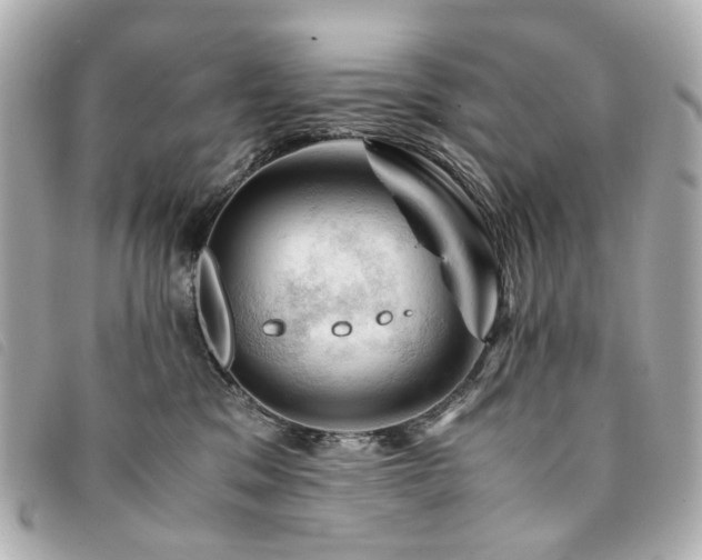 X0000094220329200710261234