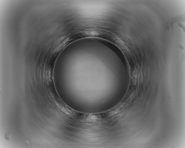 X0000094220330200710261234