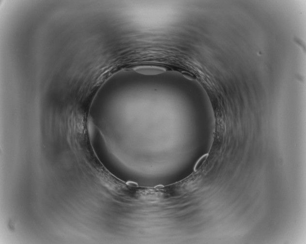 X0000094220331200710261234