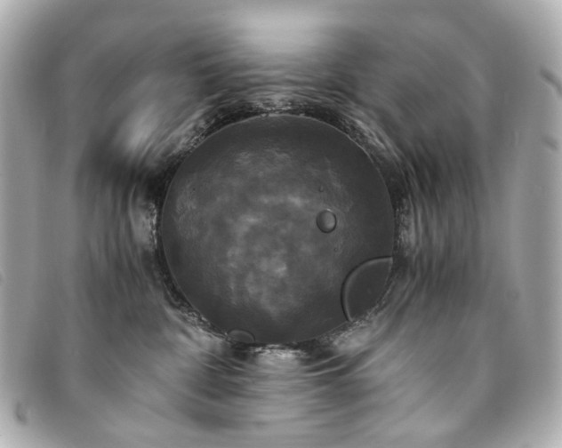 X0000094220332200710261234