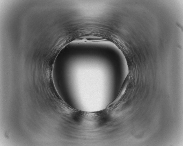 X0000094220333200710261234