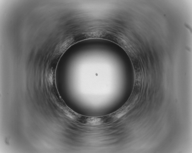 X0000094220334200710261234