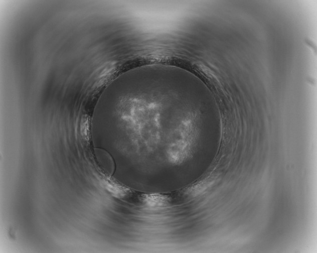 X0000094220336200710261234