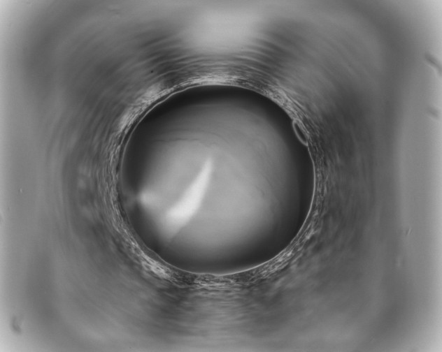 X0000094220337200710261234