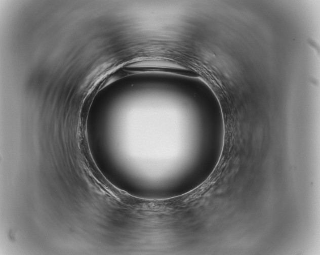 X0000094220338200710261234