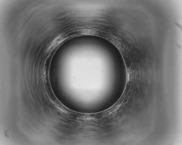 X0000094220339200710261234