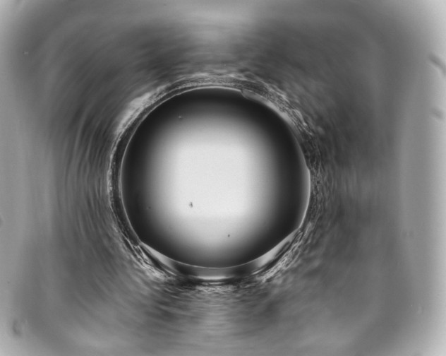 X0000094220340200710261234