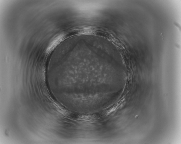 X0000094220341200710261234