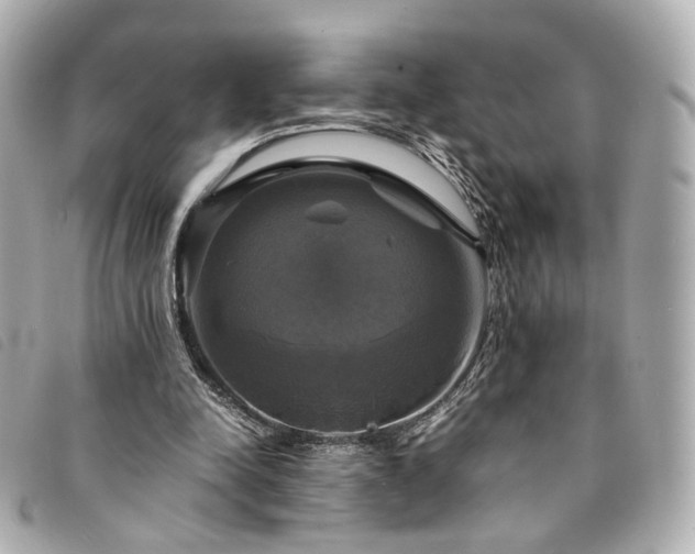 X0000094220342200710261234