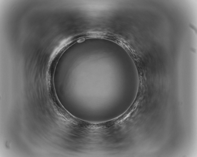 X0000094220343200710261234