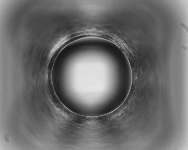 X0000094220344200710261234