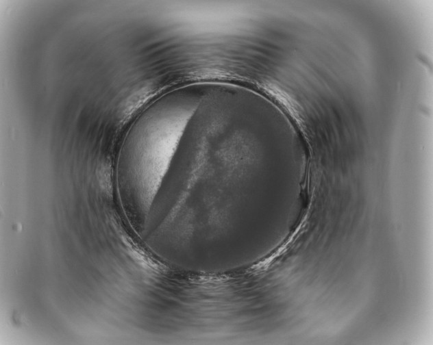 X0000094220345200710261234