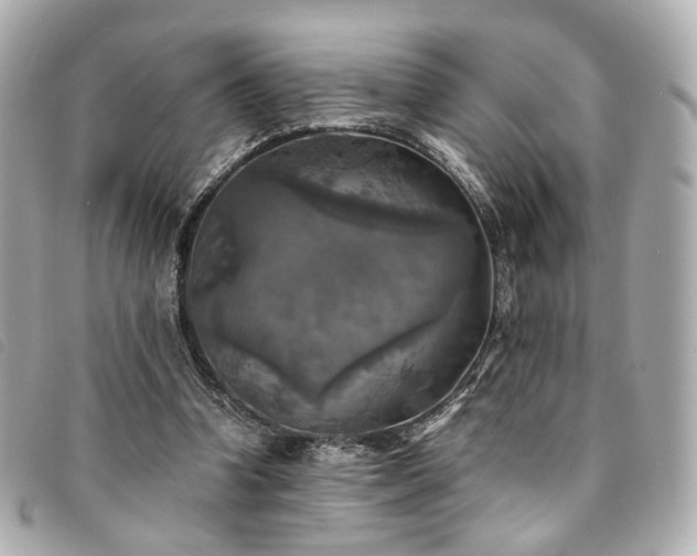 X0000094220346200710261234