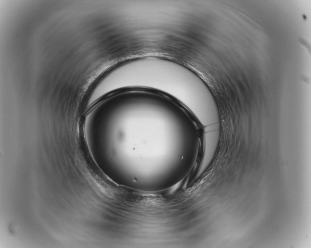 X0000094220350200710261234