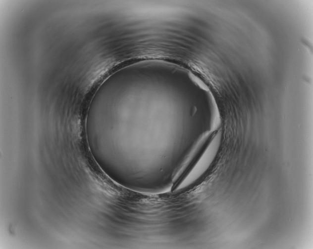 X0000094220351200710261234