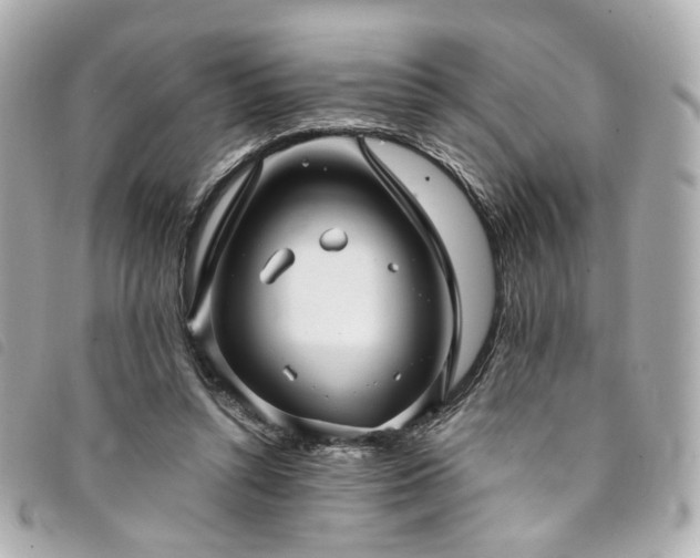 X0000094220352200710261234