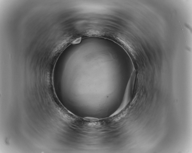 X0000094220353200710261234