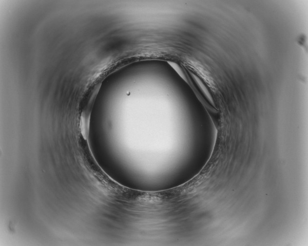 X0000094220354200710261234