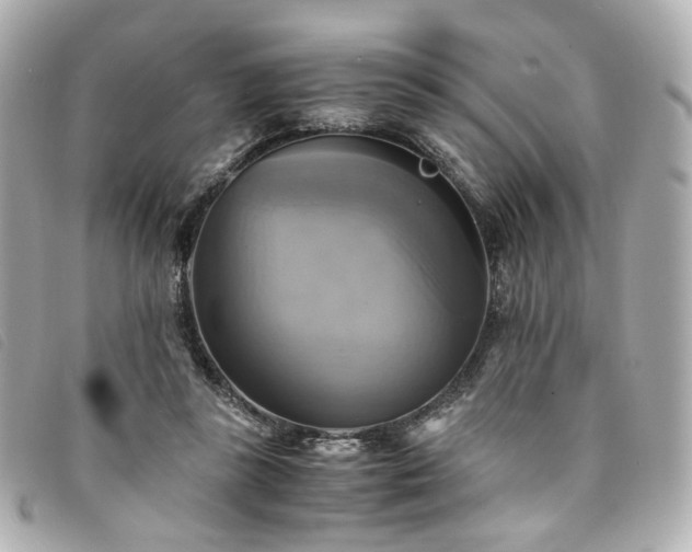 X0000094220355200710261234