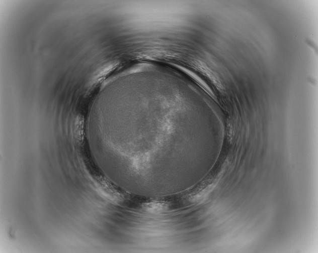 X0000094220356200710261234