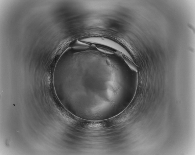 X0000094220357200710261234