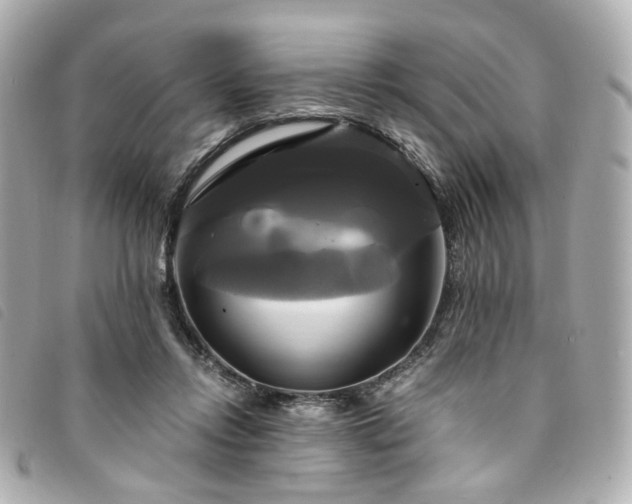 X0000094220358200710261234