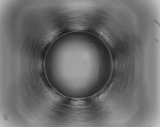 X0000094220359200710261234