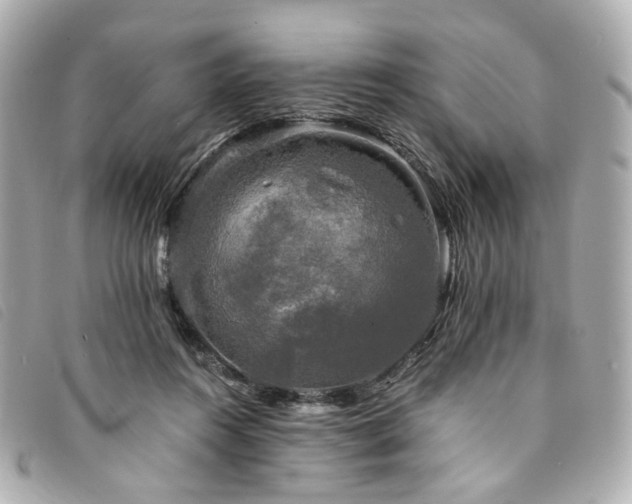 X0000094220360200710261234