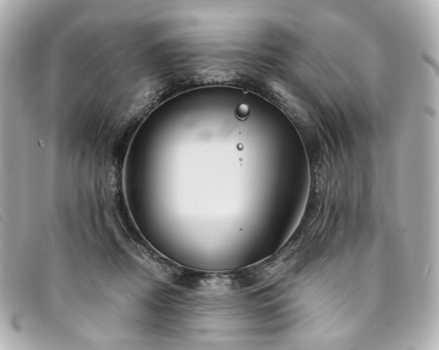 X0000094220362200710261234