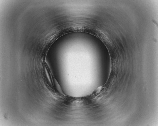 X0000094220364200710261234